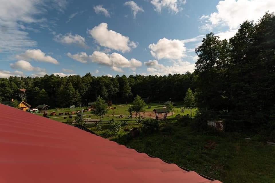 Pokoje Nad Szeszupa Jasionkove Dobro Rutka-Tartak Exterior photo